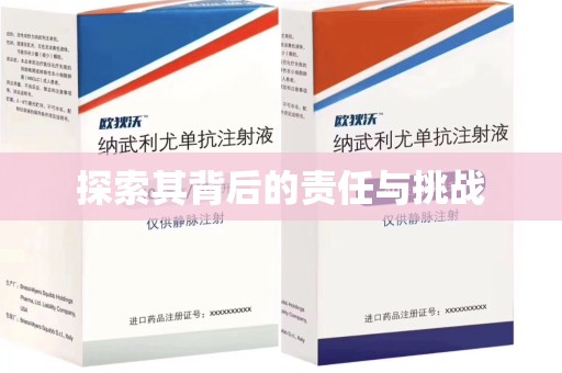 湖州探索其背后的责任与挑战
