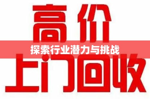 湖州探索行业潜力与挑战