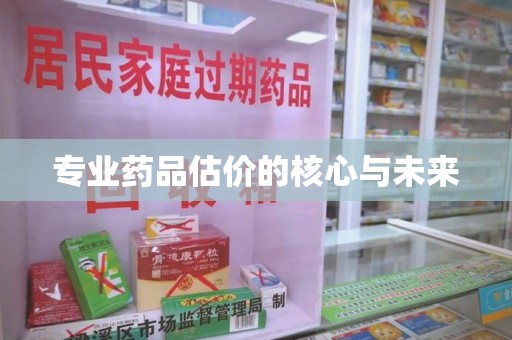 湖州专业药品估价的核心与未来