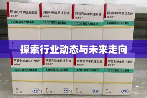 湖州探索行业动态与未来走向
