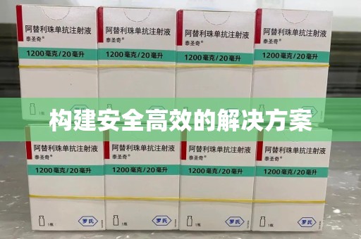 湖州构建安全高效的解决方案