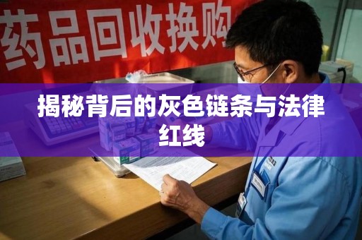 湖州揭秘背后的灰色链条与法律红线