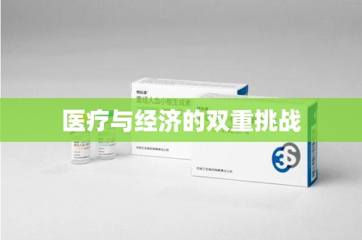 湖州医疗与经济的双重挑战