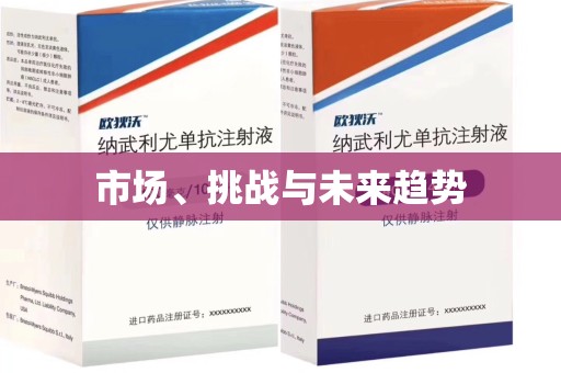 湖州市场、挑战与未来趋势