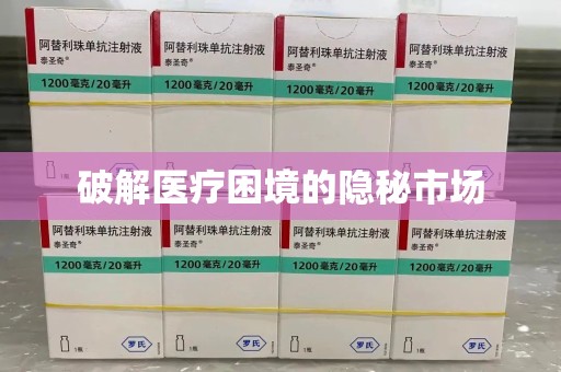 湖州破解医疗困境的隐秘市场